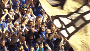 Football Sport GIF by FC Schalke 04