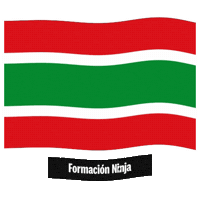 Castilla Y Leon Flag Sticker by Formación Ninja