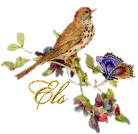 e STICKER