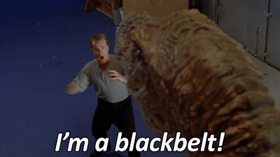 MikeASoto giphyupload dinosaur dino karate GIF