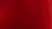 fashion augmented reality GIF by Wikitude
