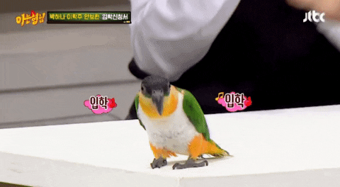 parkds giphyupload GIF