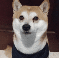 cheeks GIF