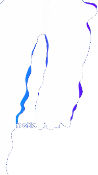 Animation Morph Sticker by youmotion.com