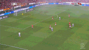 benfica GIF