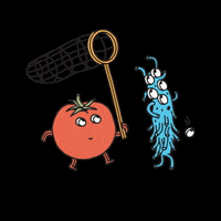 frufru_lov frufru farabazaconii GIF