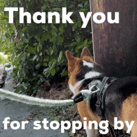Dog Thank You GIF