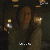 Season 1 GIF by SHOWTIME