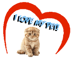 My Pet Love Sticker