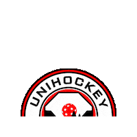 Floorball Salibandy Sticker by Unihockey Limmattal