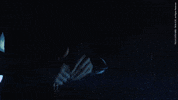Dc Universe Fight GIF by DC