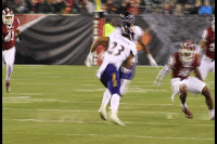 Temple Football GIF by Temple Owls