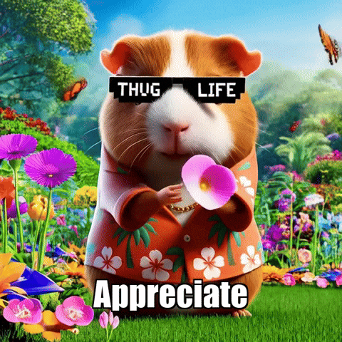Wisdom Appreciate GIF by Guinea Gambino