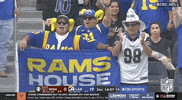 National Football League GIF by NFL