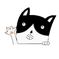 Cat Dog Sticker by Patra Bene
