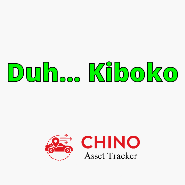 Kiboko gifs find share on giphy