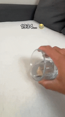 SnaxShop giphyupload GIF