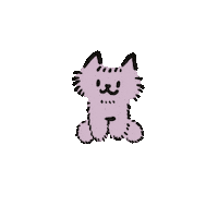 Cat Kitty Sticker