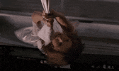 sarah michelle gellar scream GIF