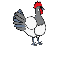 Chicken Sticker