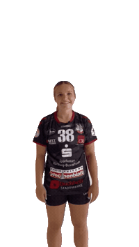Luchse handball 2bundesliga handballluchse luchseriös Sticker