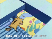 nicksplat angry beaver GIF