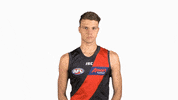 essendonfc dons bombers ridley essendon GIF