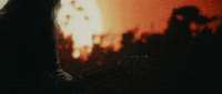 West Coast California GIF by OneRepublic
