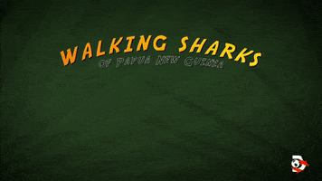 Walk Sharks GIF by Shark Week