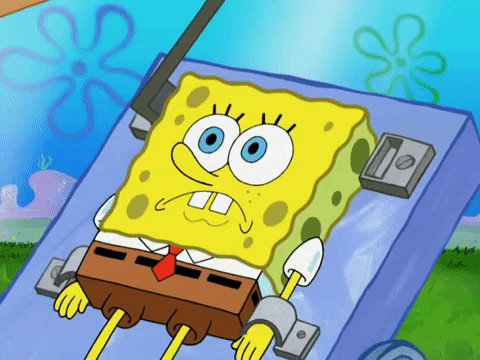 season 8 GIF by SpongeBob SquarePants