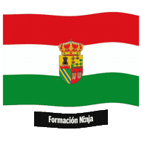 Castilla-La Mancha Bandera Sticker by Formación Ninja
