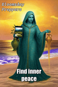 Beach App GIF by Bloomsday Preppers