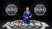 Battersea GIF by MMADen