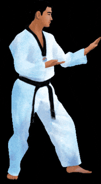 Martial Arts Sport GIF by vank