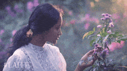 lafashionfestival girl fashion nature flowers GIF