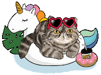 alohapersians cat fun cats chill Sticker