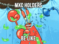 MXC_Foundation crypto iot mxc datadash GIF