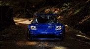 Ayrton Senna Supercar GIF
