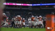 College Football Canes GIF by Miami Hurricanes