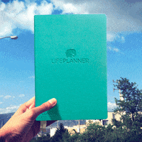 Lifeplannermx travel trip classic mint GIF