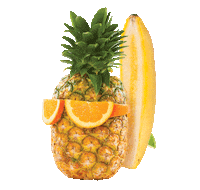 TreeTopInc fun wow cool summer Sticker