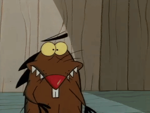 nicksplat angry beaver GIF