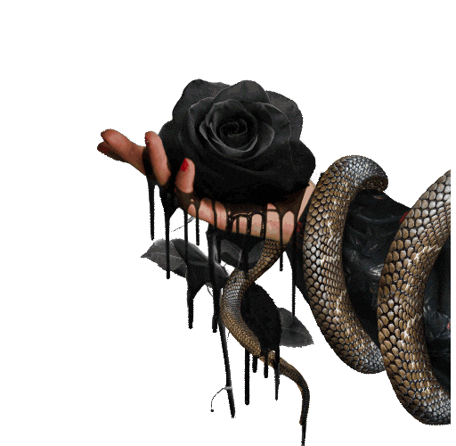 Black Rose Sticker by The Offspring