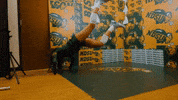 Ndsu Volleyball GIF by NDSU Athletics