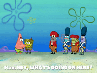 season 5 000 patties under the sea GIF by SpongeBob SquarePants