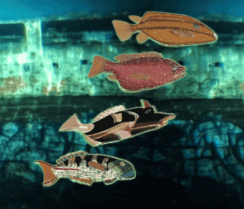 Explore Pop Art GIF by Xinanimodelacra