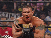 Randy Orton Wrestling GIF by WWE