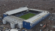 Premier League Soccer GIF by Everton Football Club