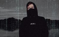 Yo Matrix GIF by Alan Walker