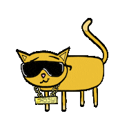 happy cool cat Sticker by ATTN: